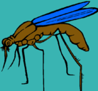 Dibujo Mosquito pintado por ERGJH