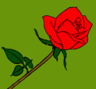 Dibujo Rosa pintado por virginini