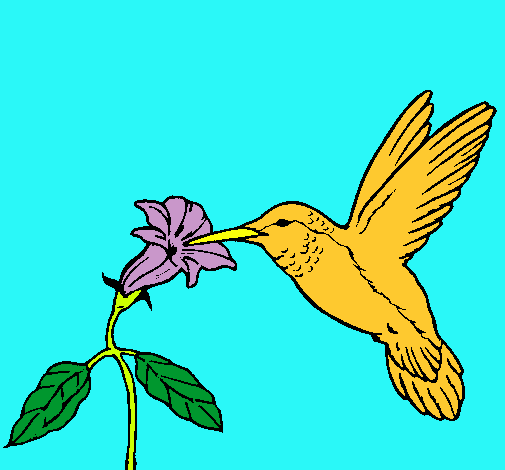 Colibrí y una flor