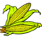 Dibujo Mazorca de maíz pintado por rodolfa