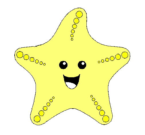 Estrella de mar