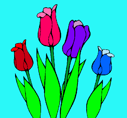 Tulipanes