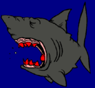 Dibujo Tiburón pintado por bioklas