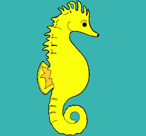 Caballito de mar