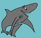 Dibujo Tiburón alegre pintado por op90iopko