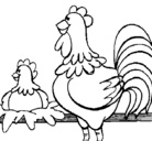 Dibujo Gallo y gallina pintado por raquel45SAE