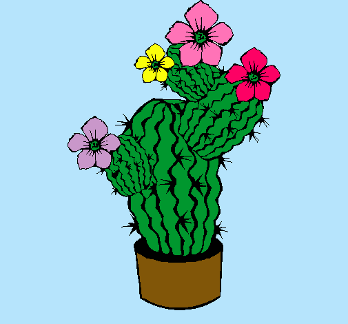 Flores de cactus