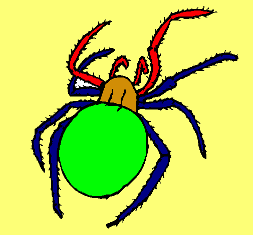 Araña venenosa