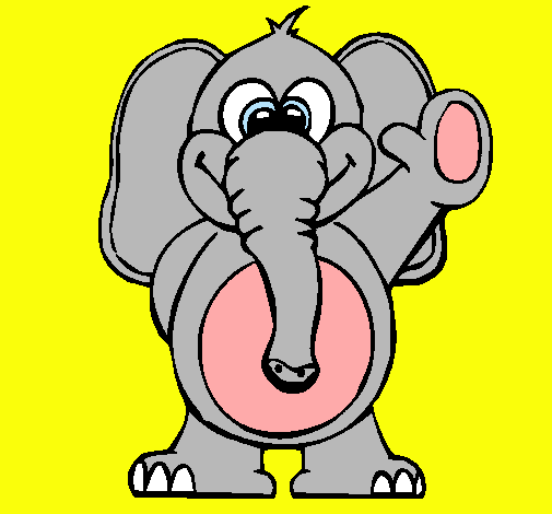 Elefante 2