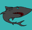 Dibujo Tiburón pintado por veto