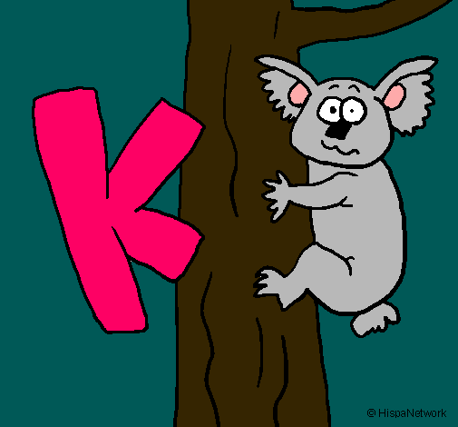 Koala