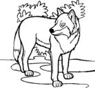 Dibujo Lobo pintado por selyta