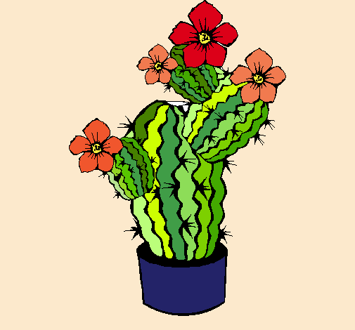 Flores de cactus