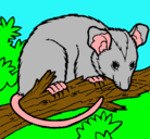 Dibujo Ardilla possum pintado por rraattaa3hff