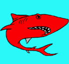 Dibujo Tiburón pintado por josee