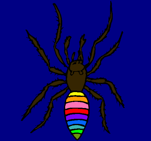 Araña tigre