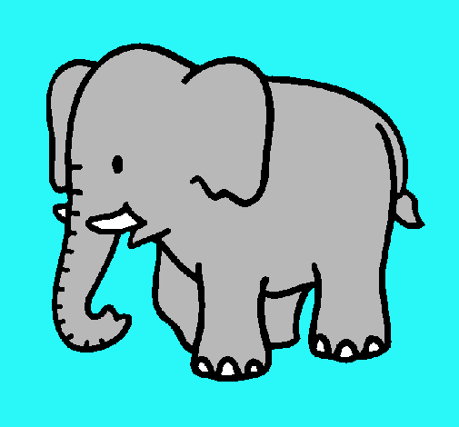 Elefante bebe