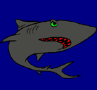 Dibujo Tiburón pintado por jomel