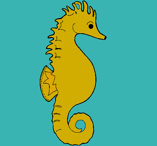 Caballito de mar