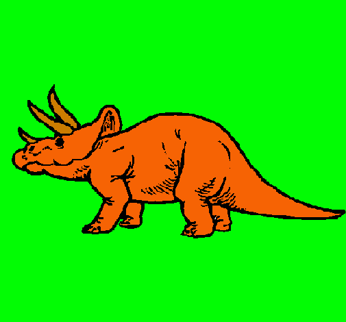 Triceratops