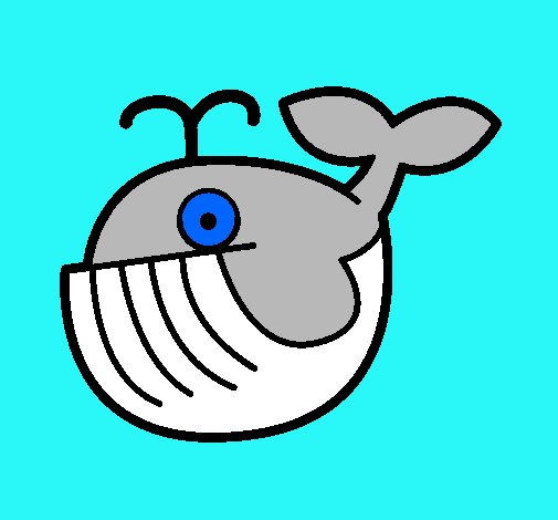 Ballena