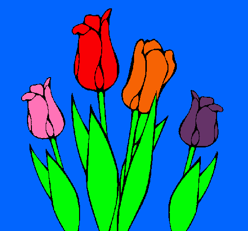 Tulipanes