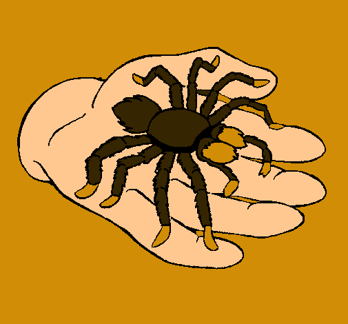 Tarántula