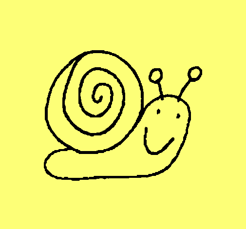 Caracol 4