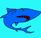 Dibujo Tiburón pintado por roque
