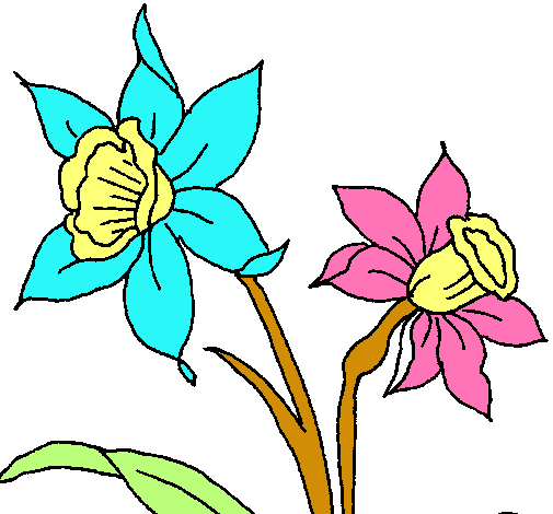 Dibujo Orquídea pintado por Leonela_fer