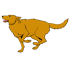 Dibujo Perro corriendo pintado por dilan