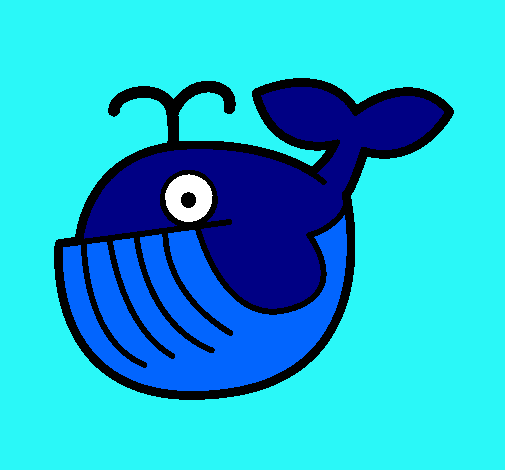 Ballena