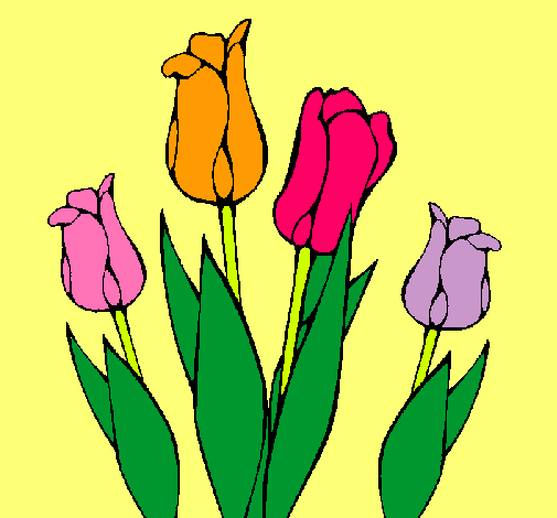 Tulipanes