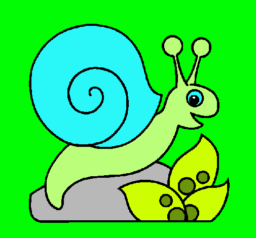 Caracol