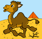 Dibujo Camello pintado por pajera