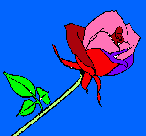 Dibujo Rosa pintado por anegarciadorell