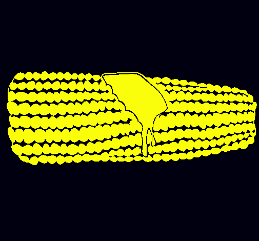 Mazorca de maíz