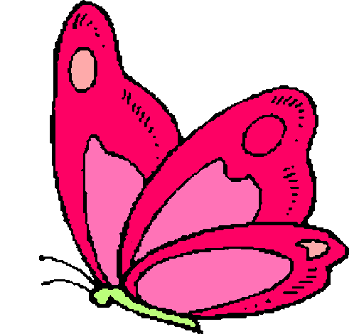 Mariposa