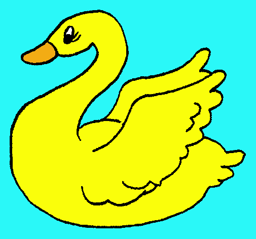 Cisne