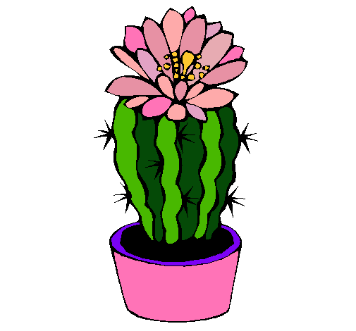 Dibujo de Cactus con flor pintado por Almaxanath en  el día  30-05-11 a las 05:22:22. Imprime, pinta o colorea tus propios dibujos!