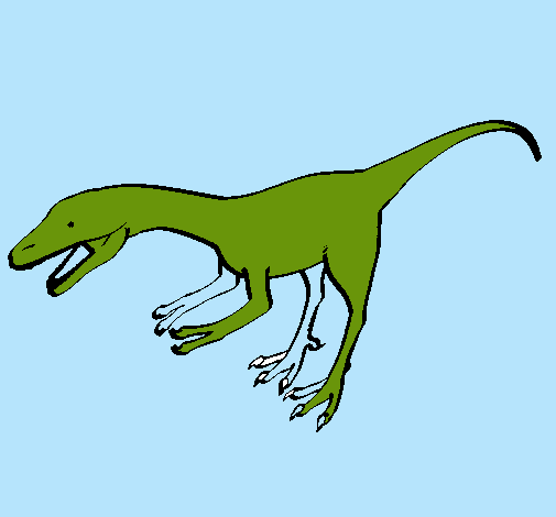 Velociraptor II