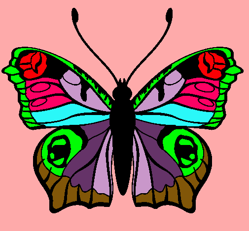 Mariposa 