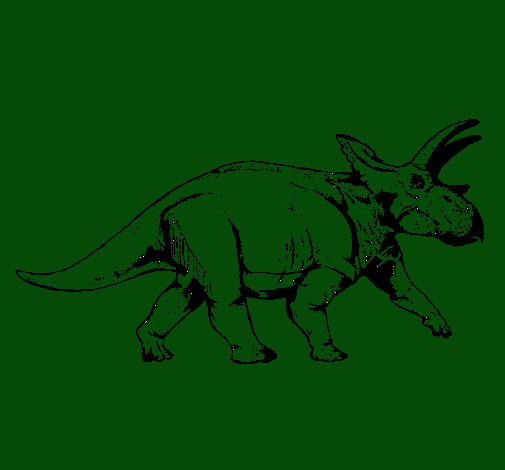 Triceratops