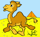 Dibujo Camello pintado por sergiolio