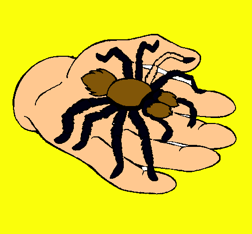 Tarántula