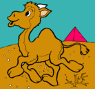 Dibujo Camello pintado por rordi