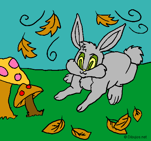 Dibujo Conejo pintado por lurdes22