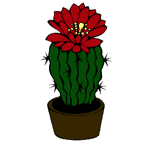 Cactus con flor