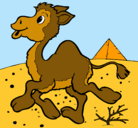 Dibujo Camello pintado por siiiiiiiiiii