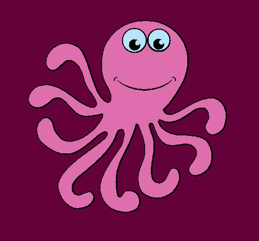 Pulpo 2